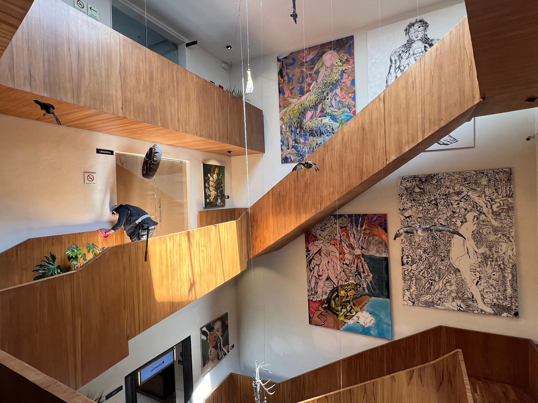 MAIA Contemporary galería 9