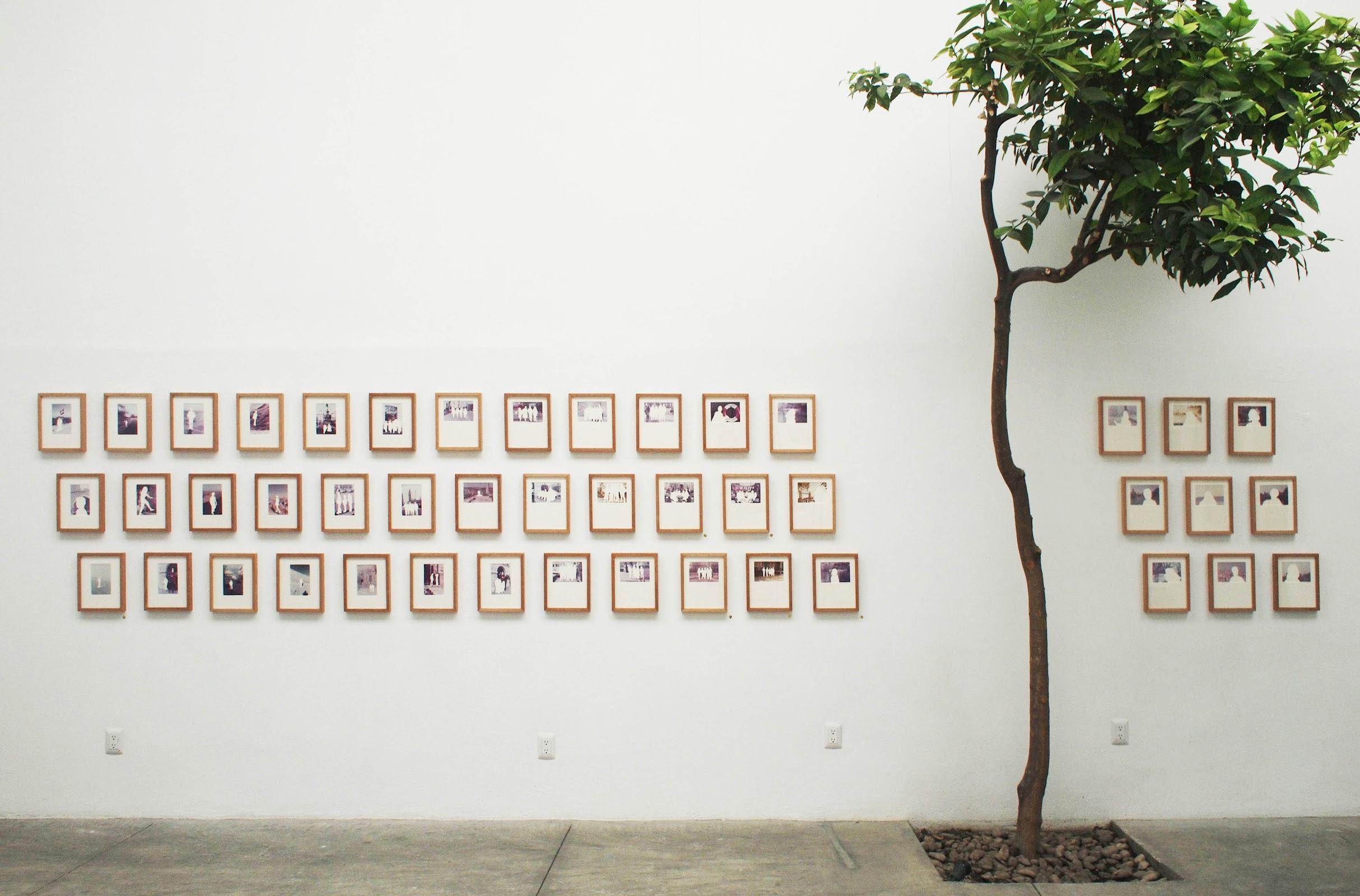 Patricia Conde Galería en Ciudad de México