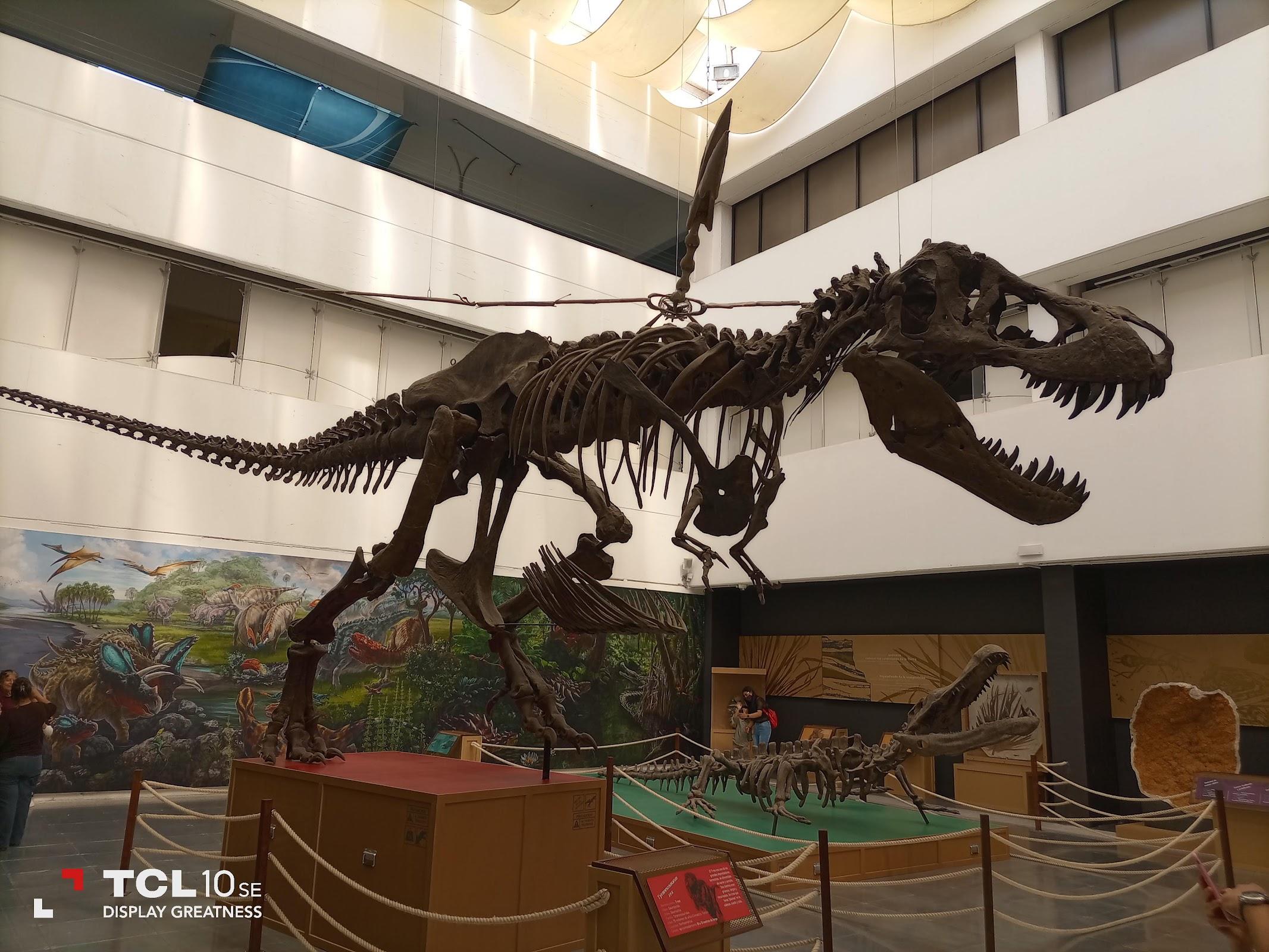 Universum, Museo de las Ciencias galería 2