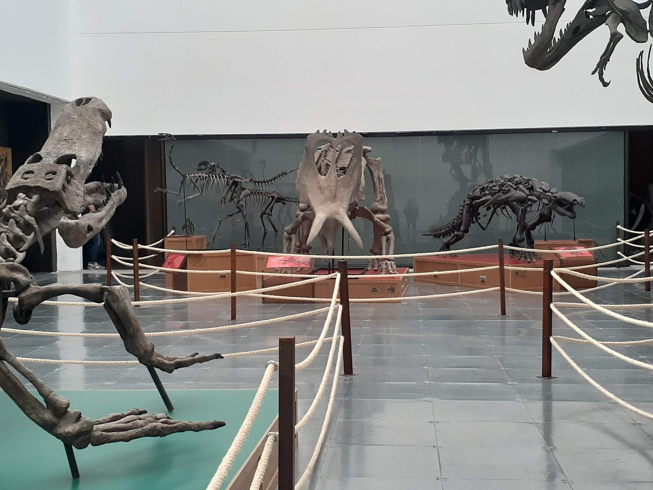 Universum, Museo de las Ciencias galería 6