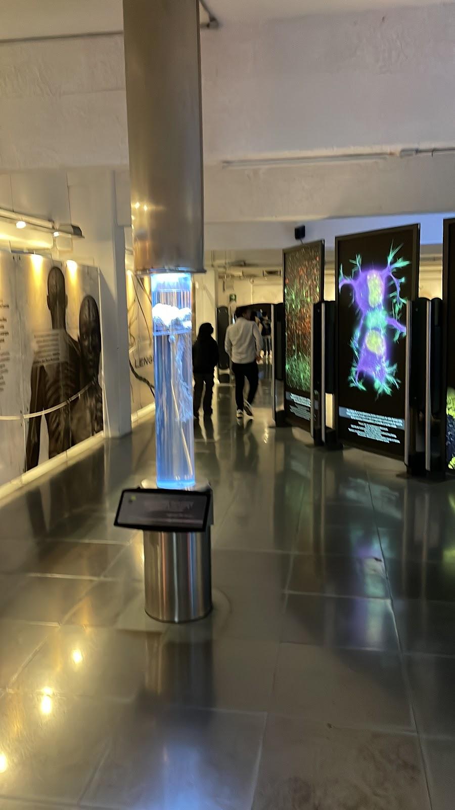 Universum, Museo de las Ciencias galería 9