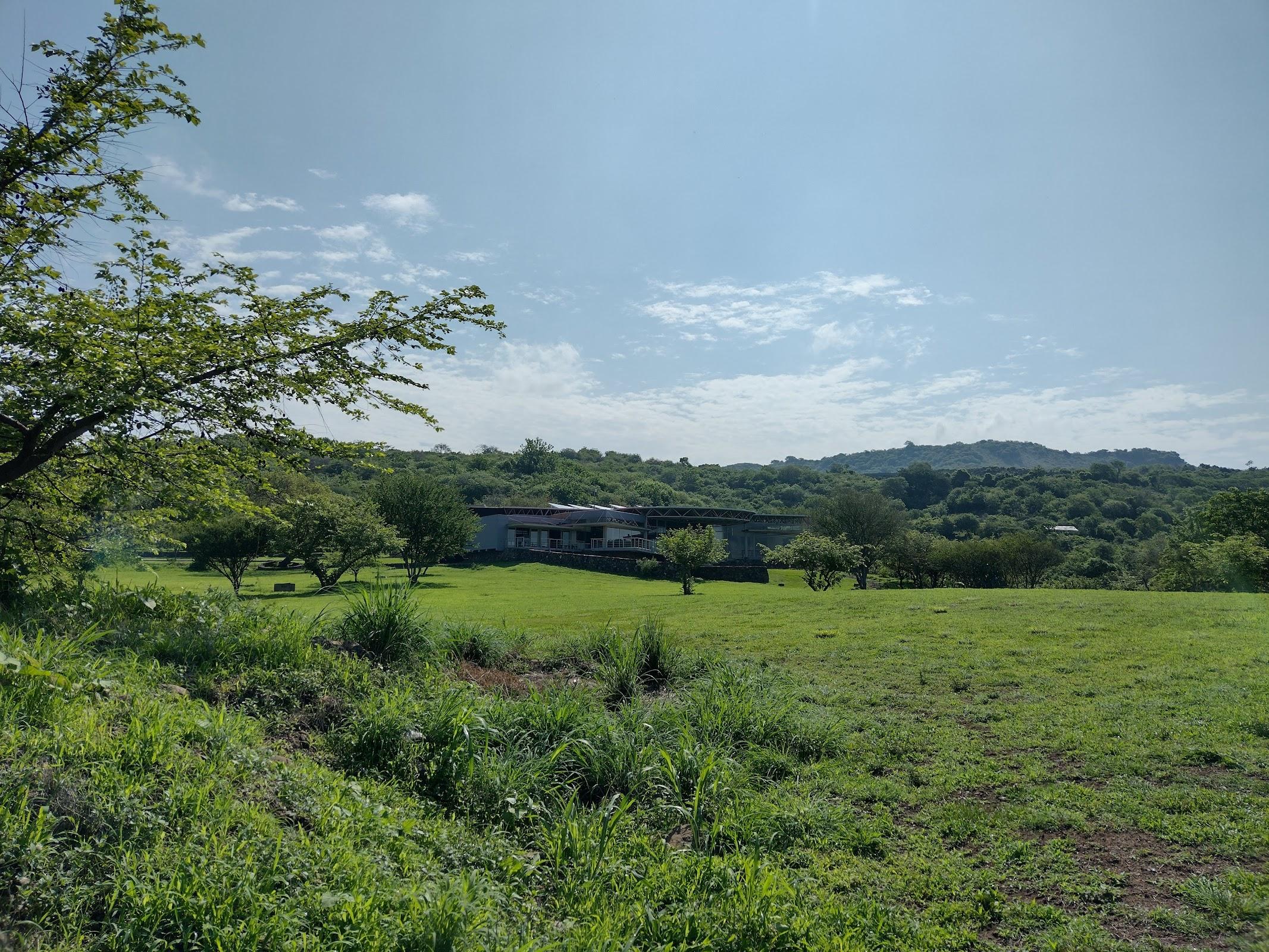 Zona Arqueológica Teuchitlán o Guachimontones galería 9