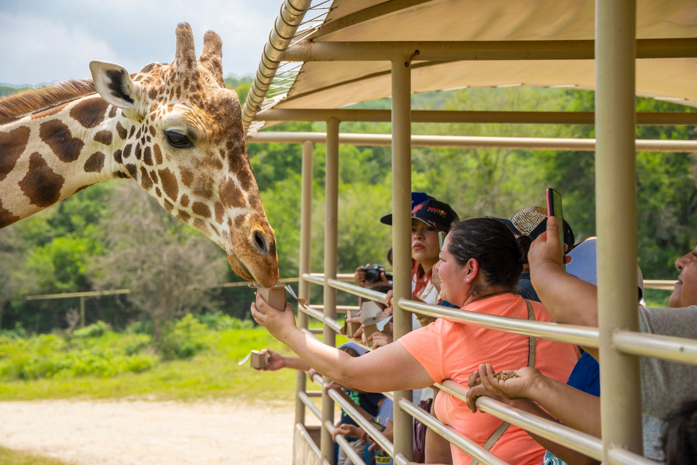 Bioparque Estrella galería 4