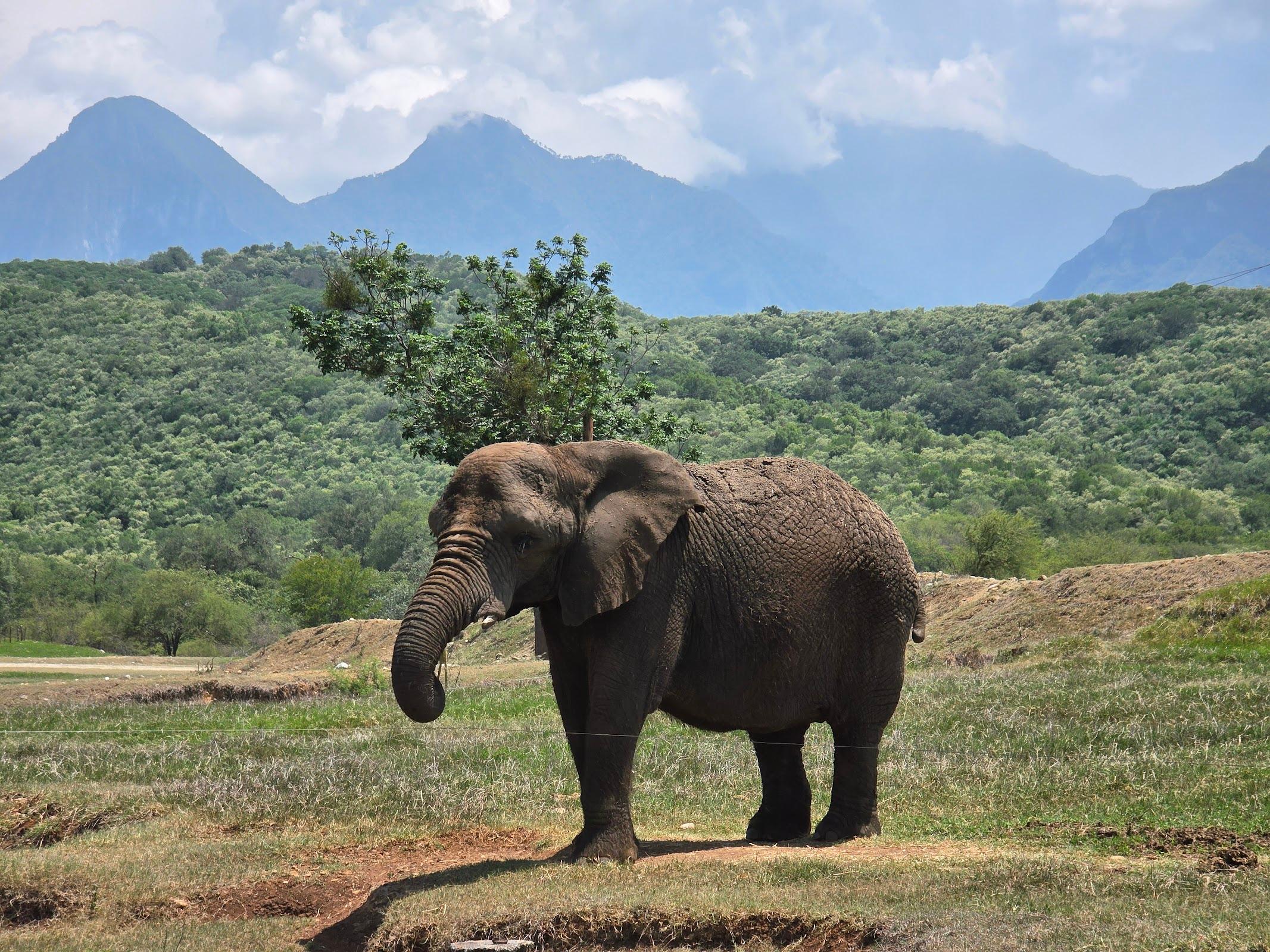 Bioparque Estrella galería 6