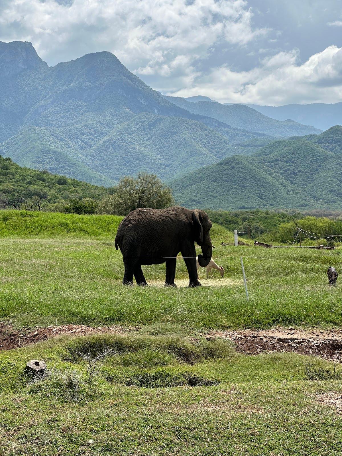 Bioparque Estrella galería 7