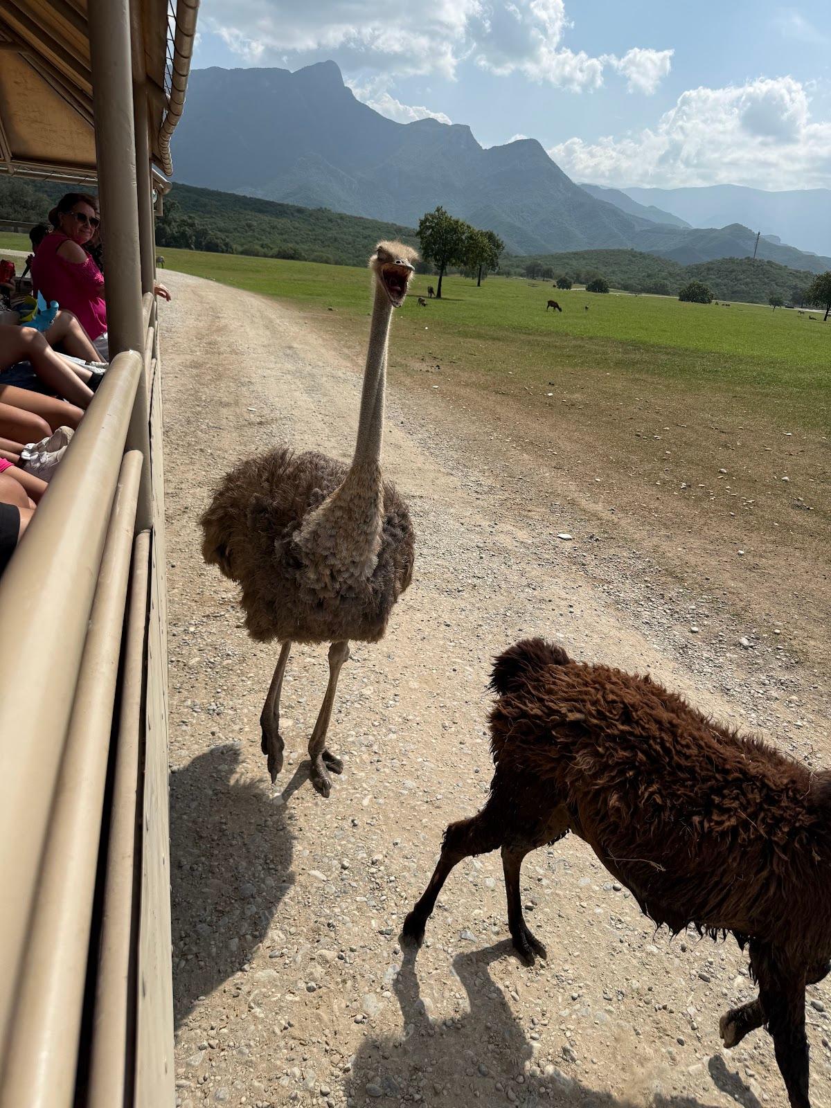 Bioparque Estrella galería 9