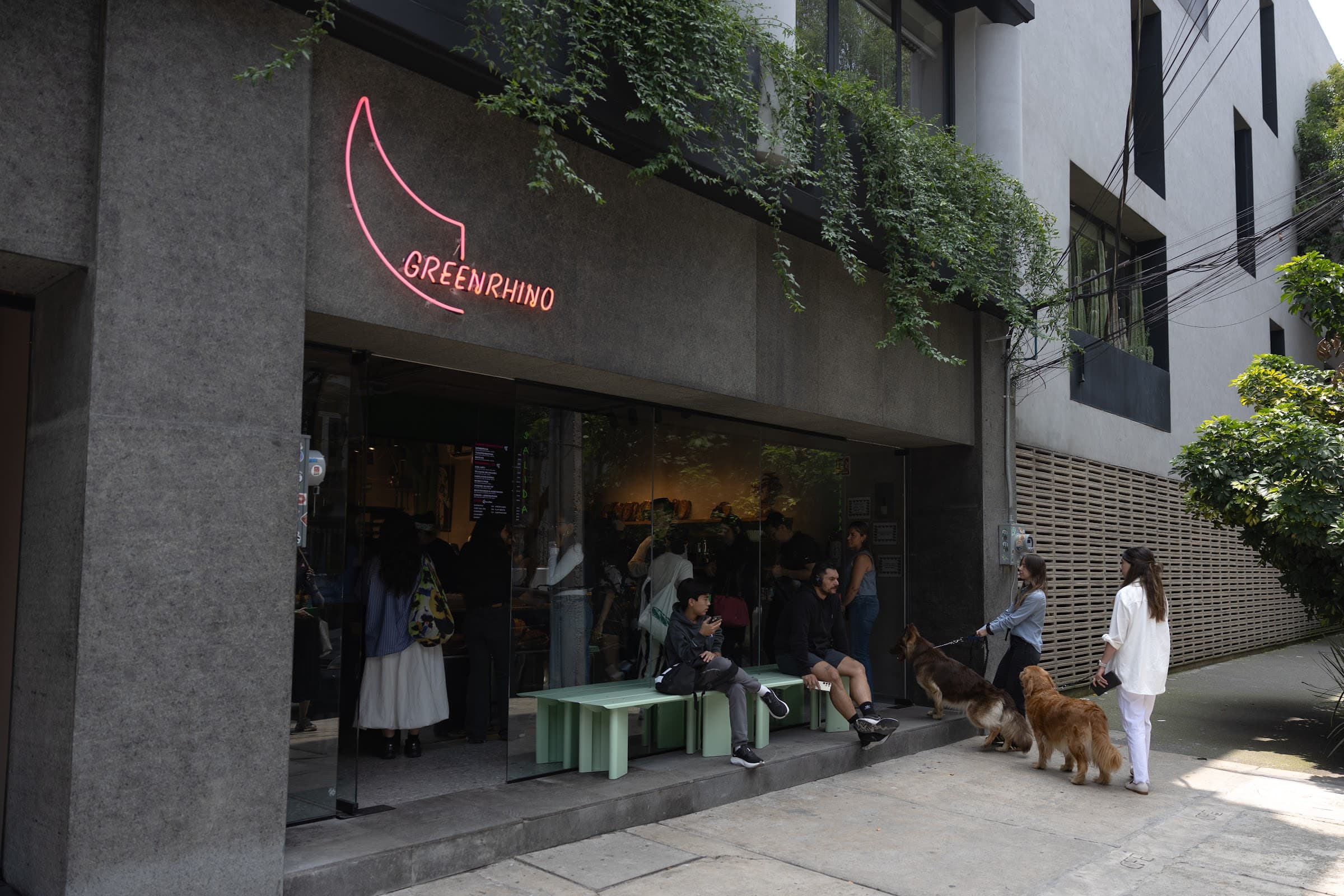 Green Rhino en Ciudad de México