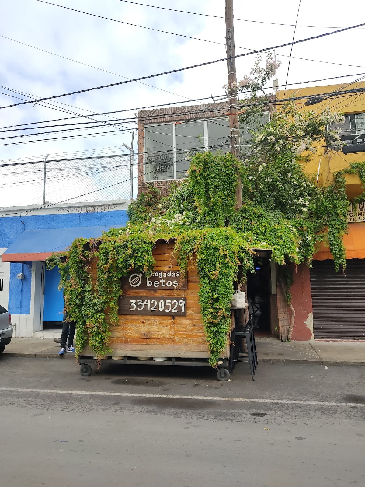 Ahogadas Betos en Guadalajara