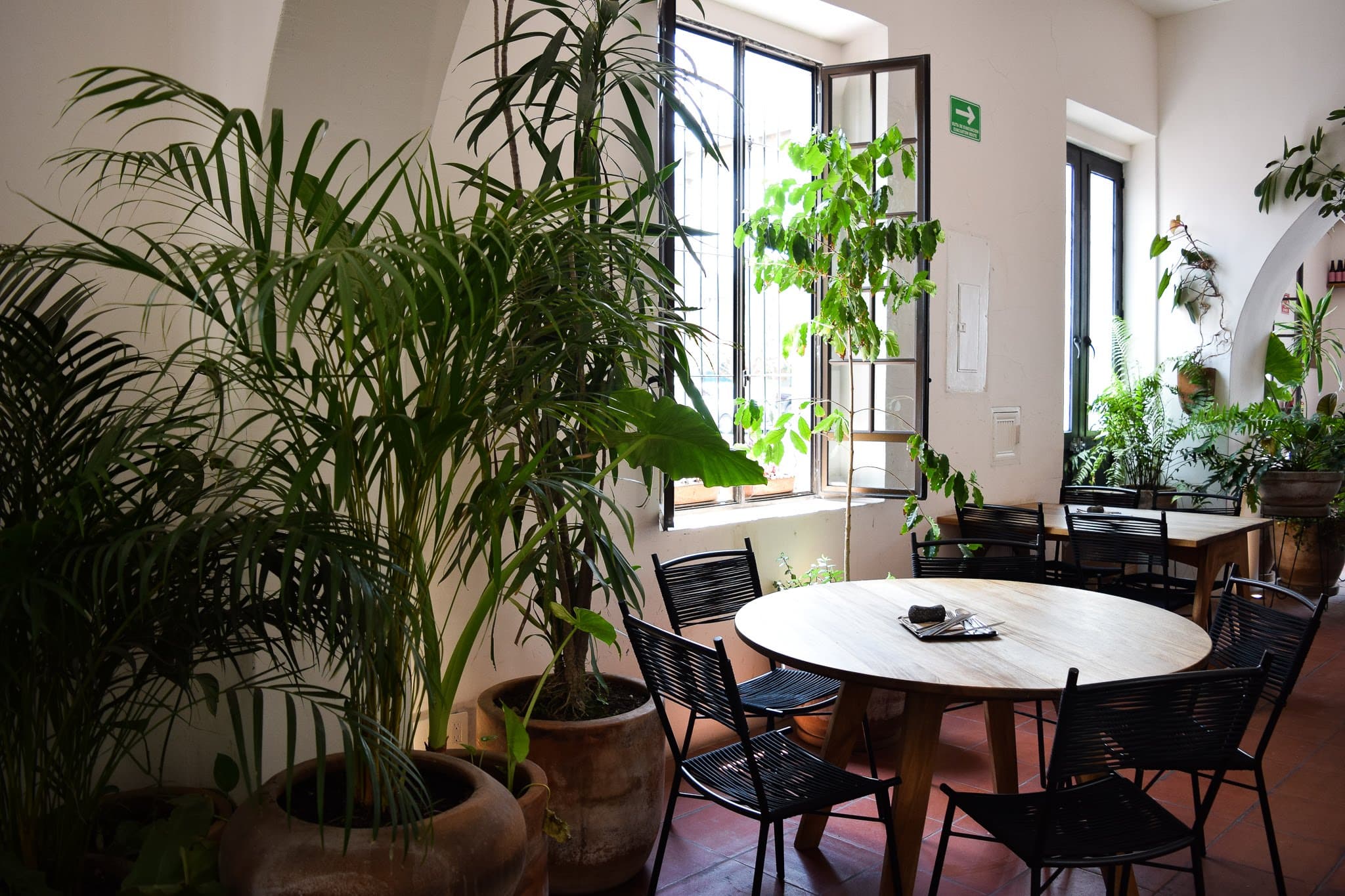 Casa Colimita en Guadalajara