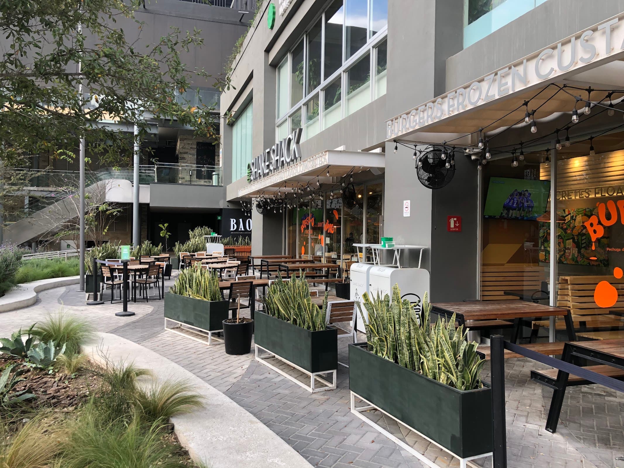 Café Laurel - Arboleda en San Pedro Garza García