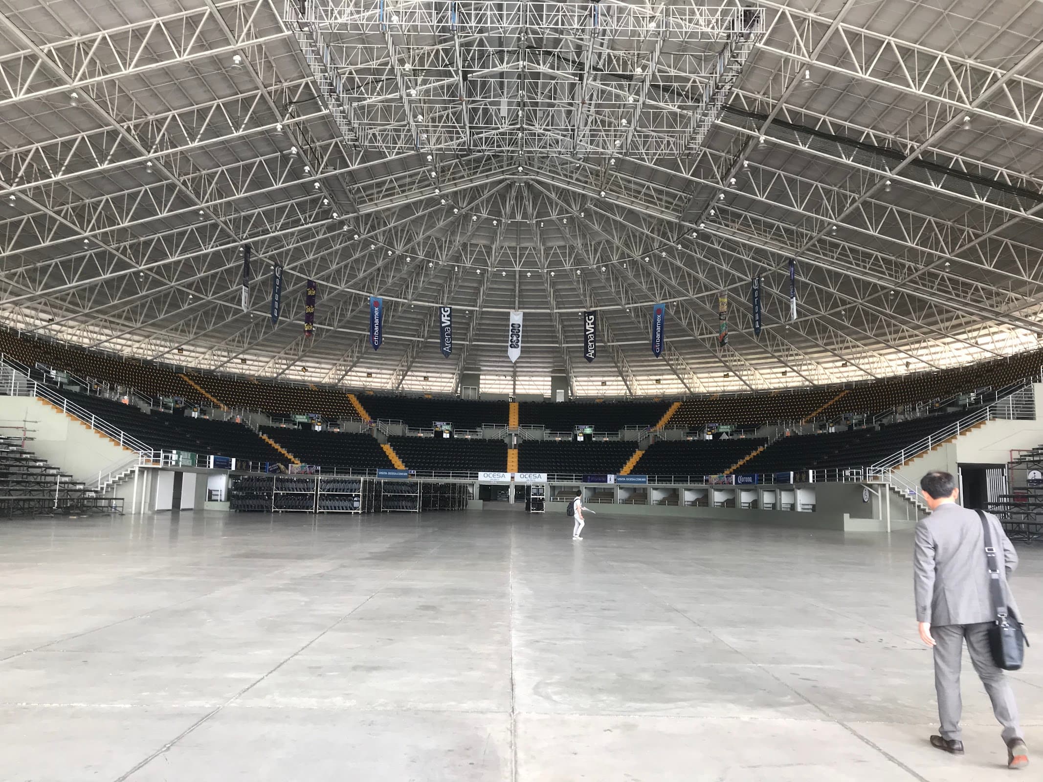 Arena VFG